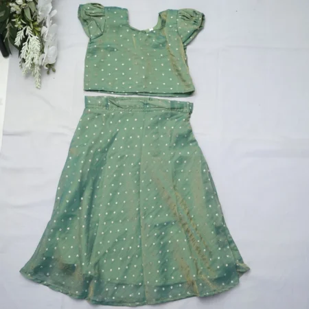Shimmer Georgette Pattu Pavada - Pastel Green